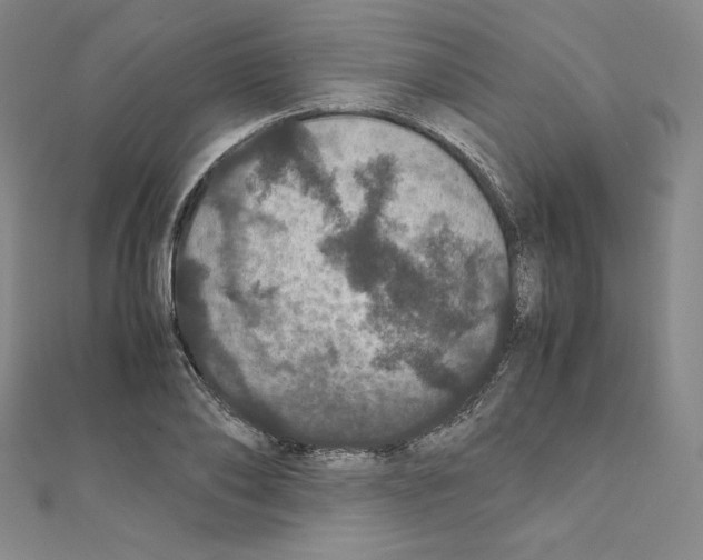 X0000111470886200908241339