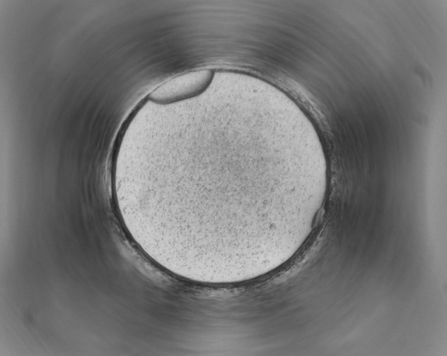 X0000111470892200908241339