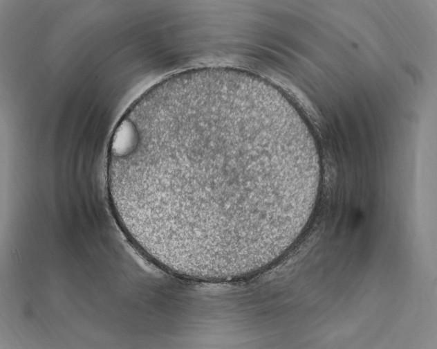 X0000111470894200908241339