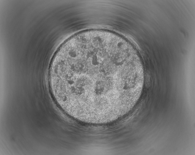 X0000111470895200908241339