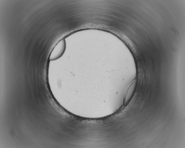 X0000111470896200908241339