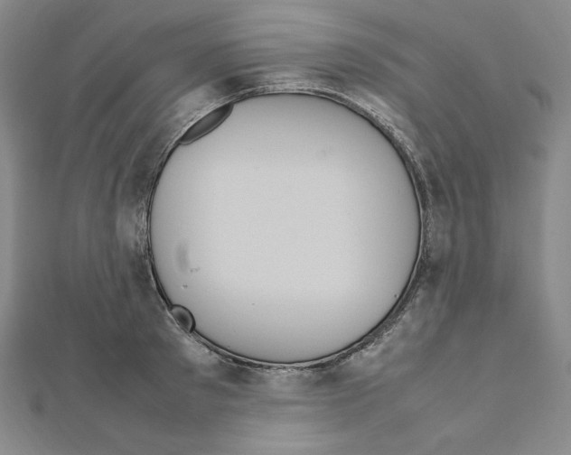 X0000111470897200908241339