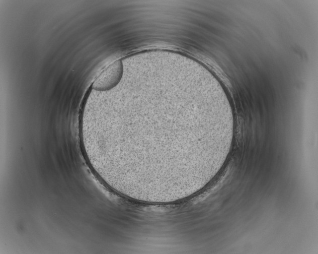 X0000111470898200908241339