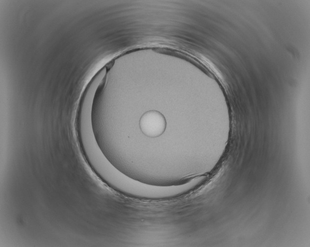 X0000111470901200908241339