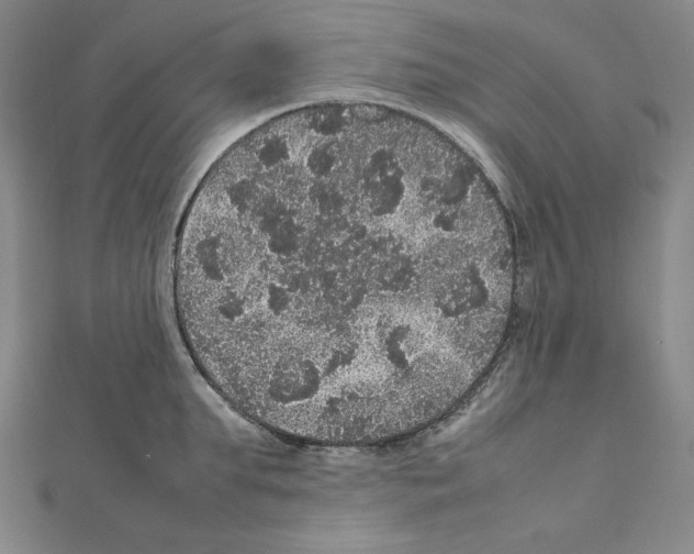 X0000111470903200908241339