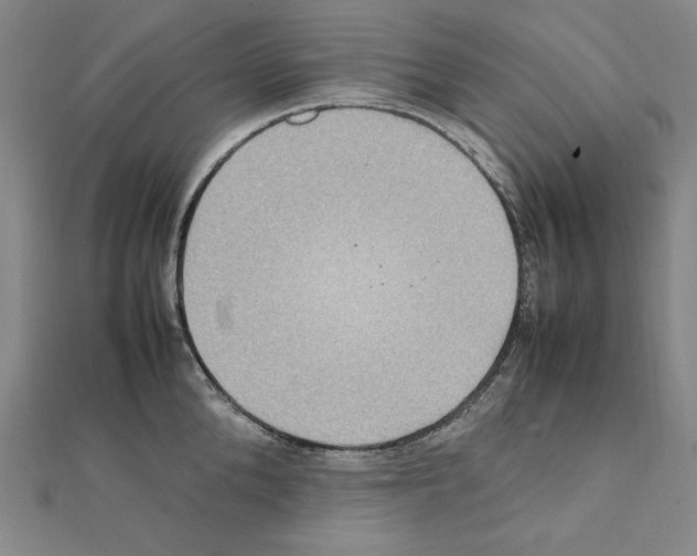 X0000111470904200908241339