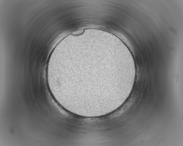 X0000111470906200908241339