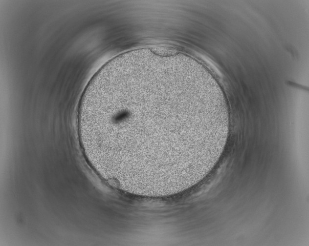 X0000111470907200908241339