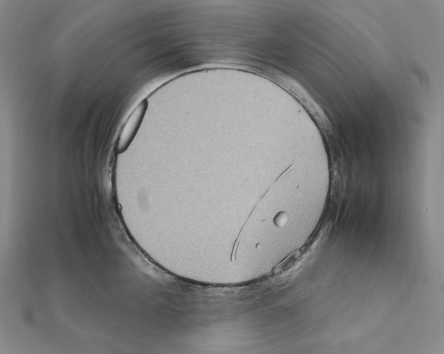 X0000111470908200908241339