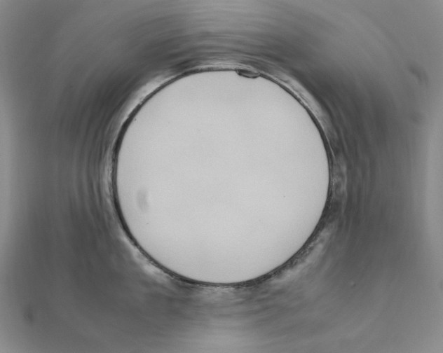 X0000111470909200908241339