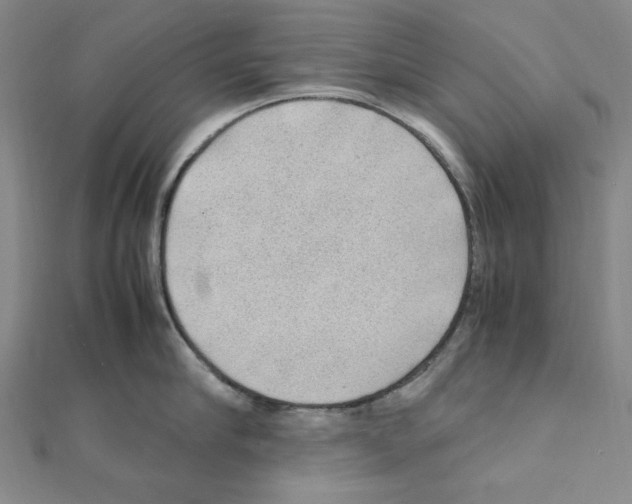 X0000111470910200908241339