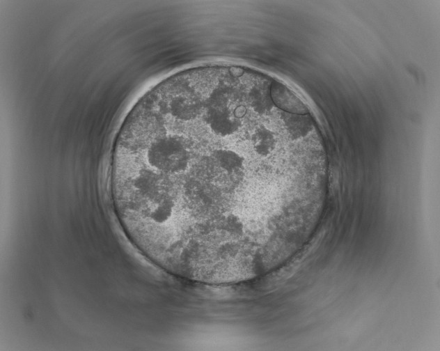 X0000111470911200908241339