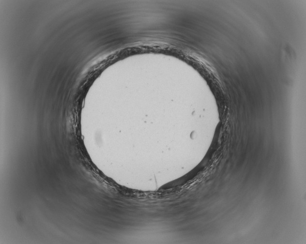 X0000111470920200908241338