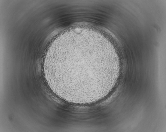 X0000111470921200908241338