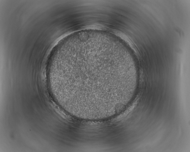 X0000111470923200908241338