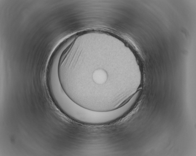 X0000111470924200908241338