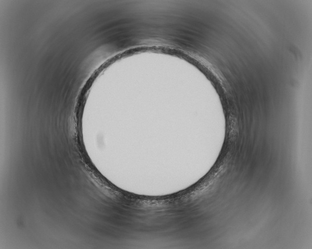 X0000111470927200908241338