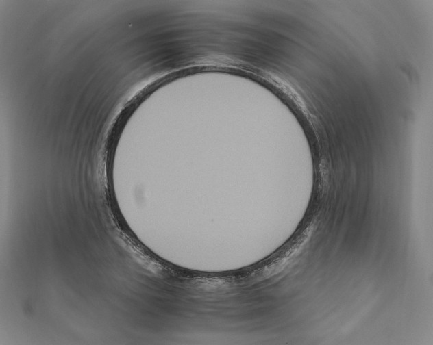 X0000111470931200908241338