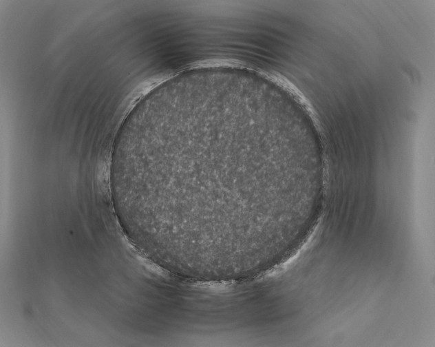 X0000111470937200908241338