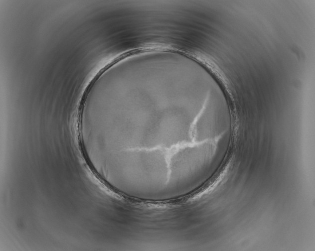 X0000111470941200908241338