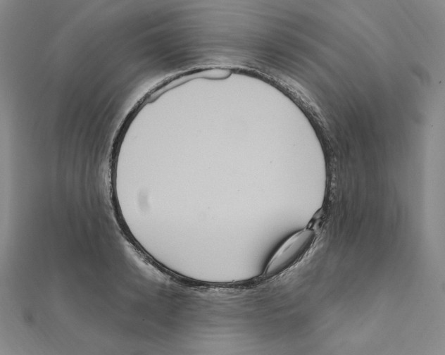 X0000111470942200908241338