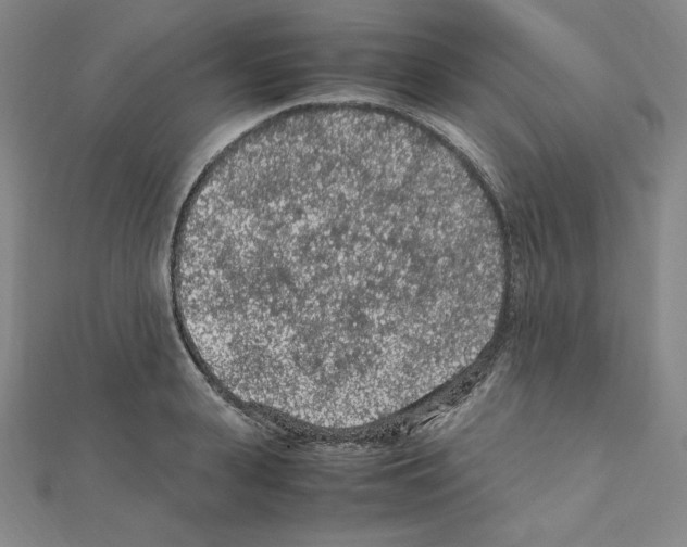 X0000111470943200908241338