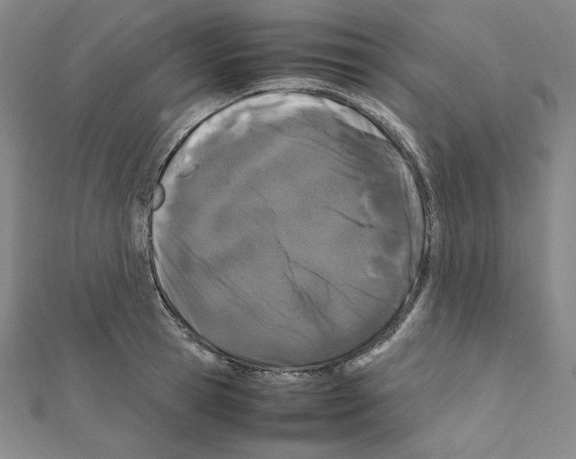 X0000111470945200908241339