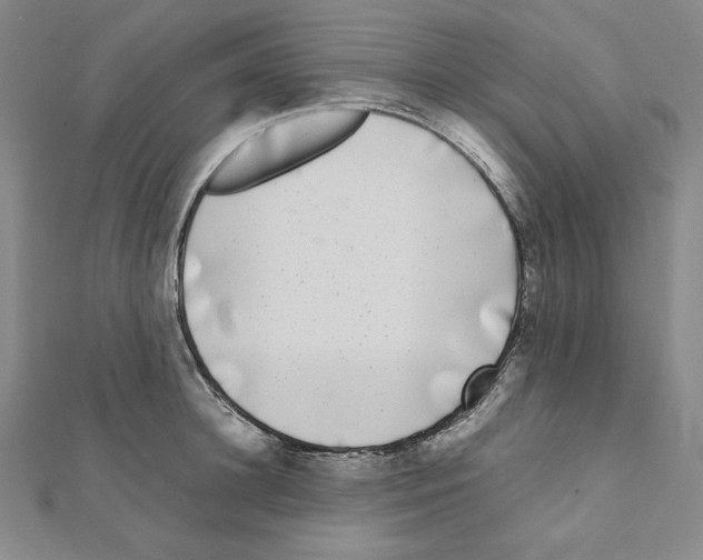 X0000111470948200908241339