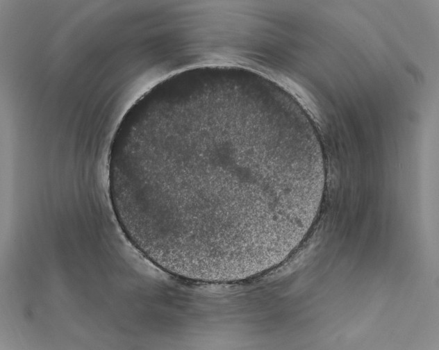 X0000111470950200908241339