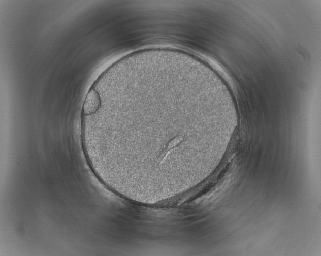 X0000111470951200908241339