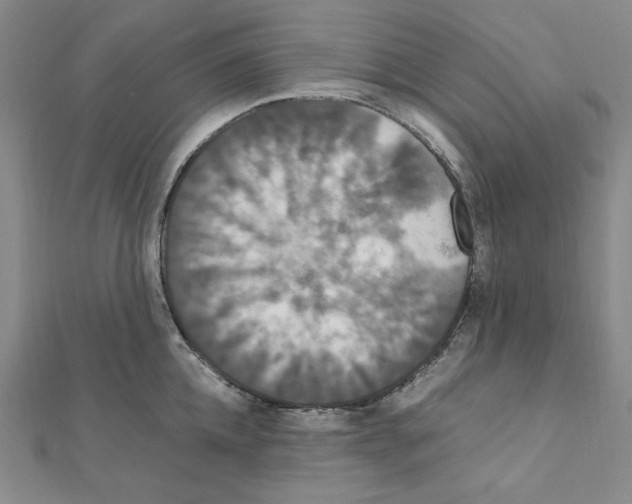 X0000111470952200908241339