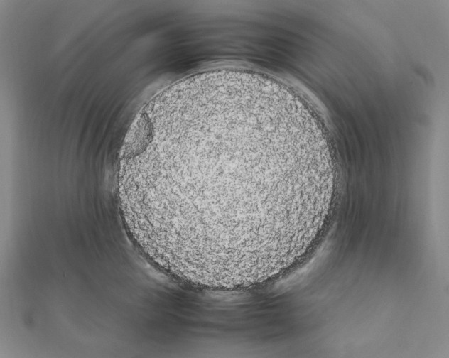 X0000111470953200908241339