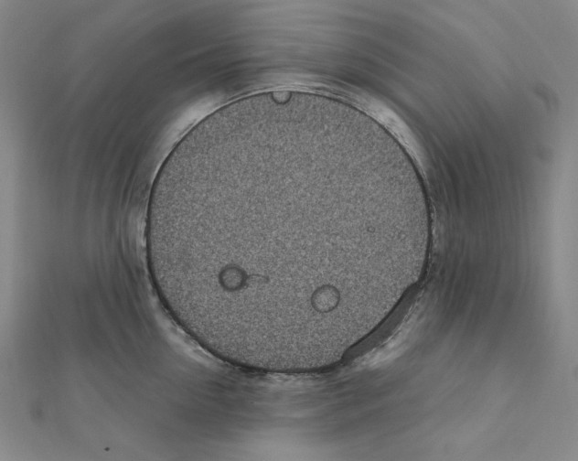 X0000111470954200908241339