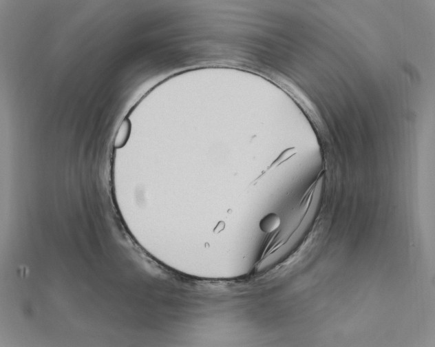 X0000111470956200908241339