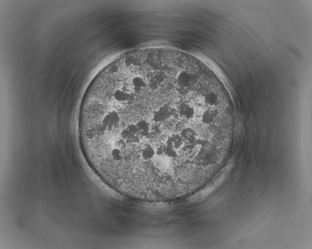 X0000111470957200908241339