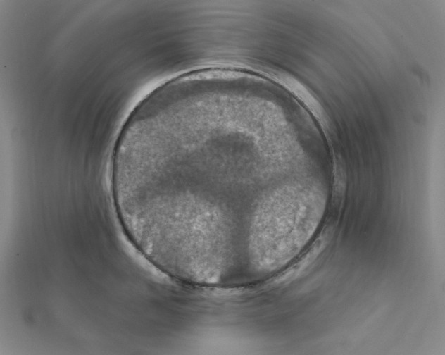 X0000111470958200908241339