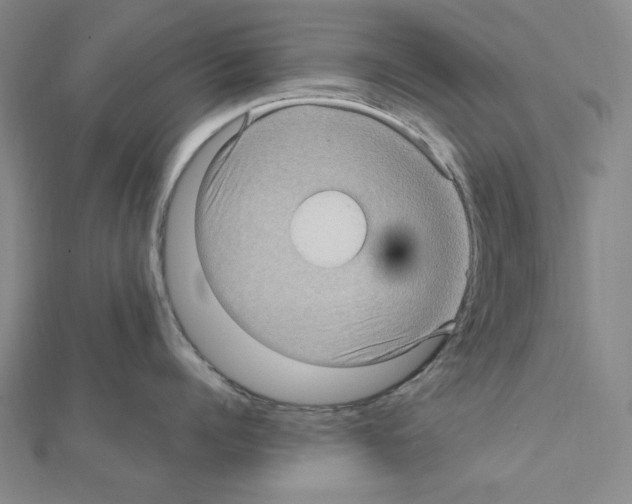 X0000111470960200908241339