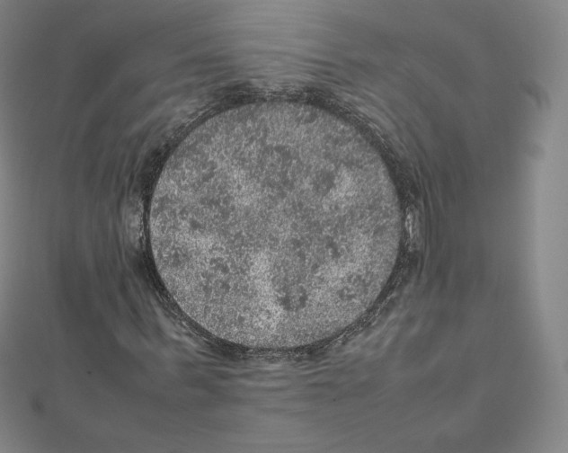 X0000111470963200908241338