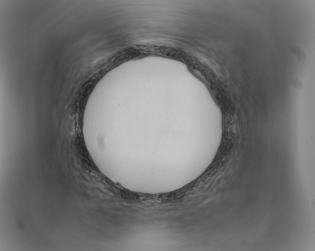 X0000111470965200908241338