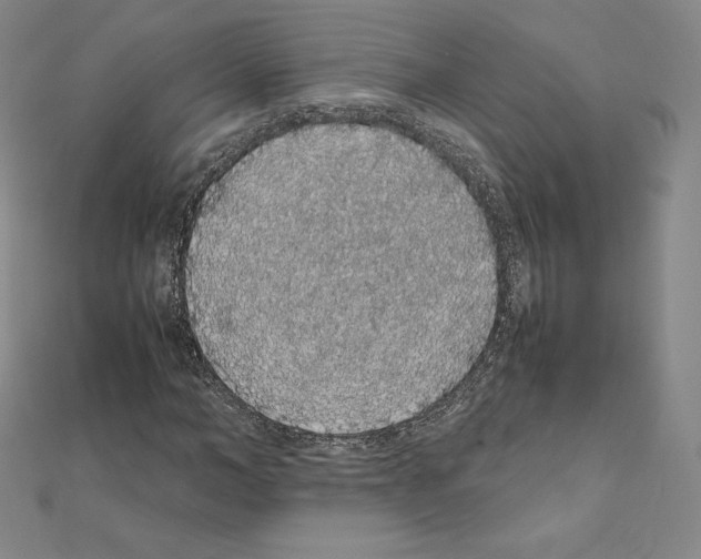 X0000111470966200908241338