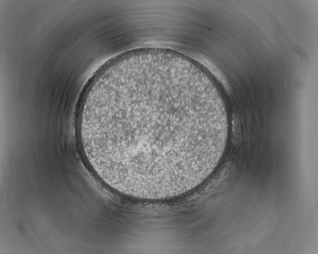 X0000111470972200908241338