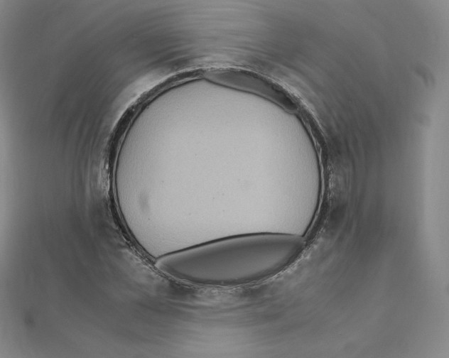 X0000111470973200908241338