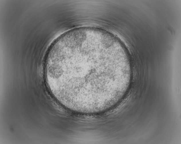 X0000111470975200908241338