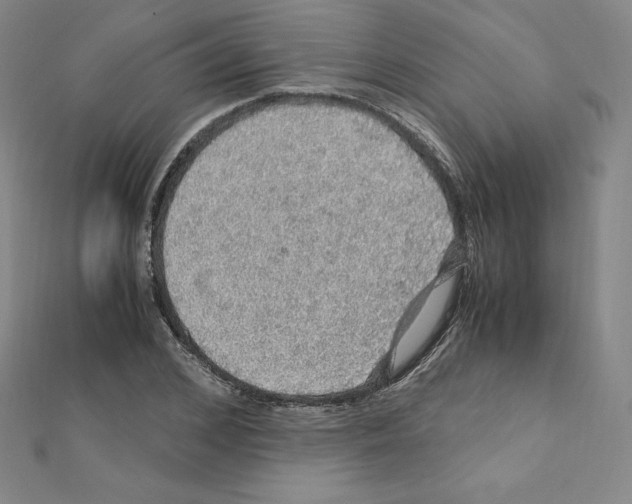 X0000111470976200908241338