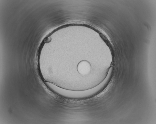 X0000111470981200908241338