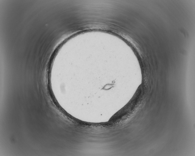 X0000111470983200908241338