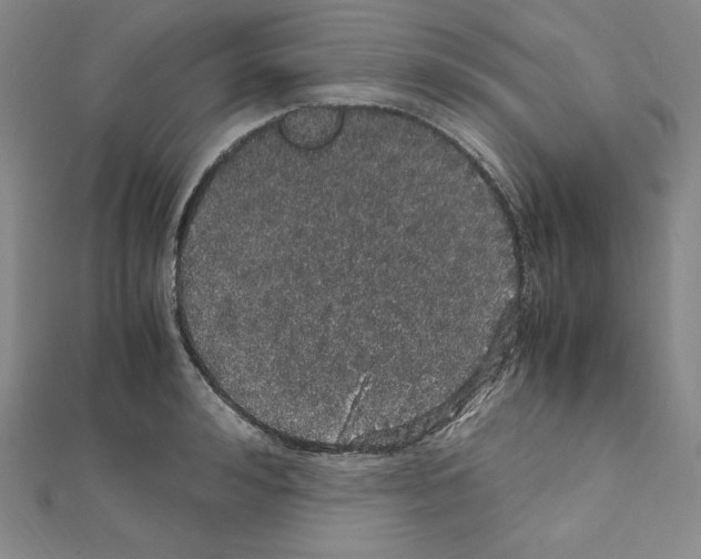 X0000111470992200908241338