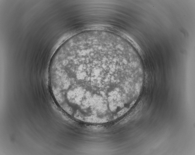 X0000111470994200908241338