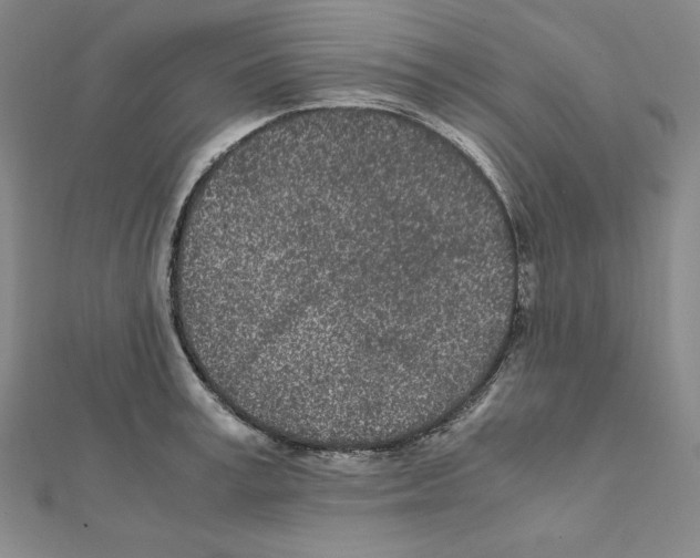 X0000111470995200908241338