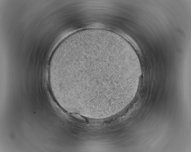 X0000111471000200908241338